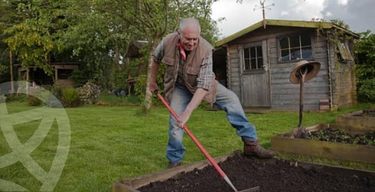 أهم 6 خطوات يجب مراعاتها عند زراعة حديقة منزلك