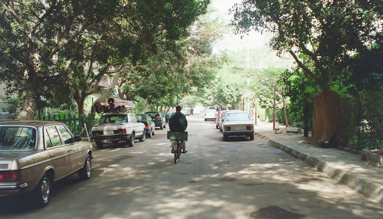 maadi's gardens