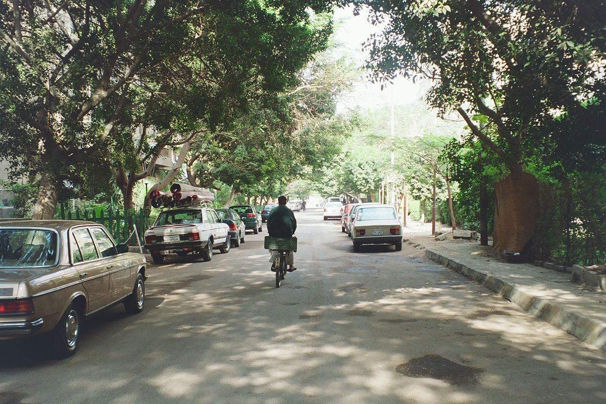 maadi's gardens